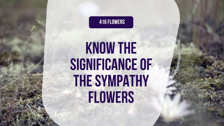 Know The Significance Of The Sympathy Flowers - Why Are They Used?