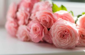 The Easiest way To Gift Flowers- Choose According To Birth Month!