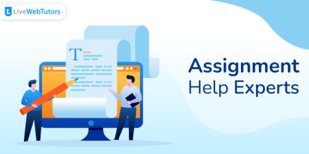 Assignment Help Experts: For 24*7 Assistance